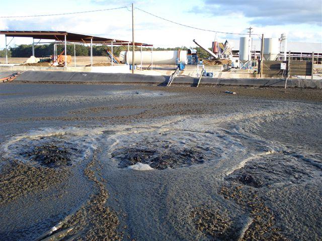0108DSC00190 (Small).JPG